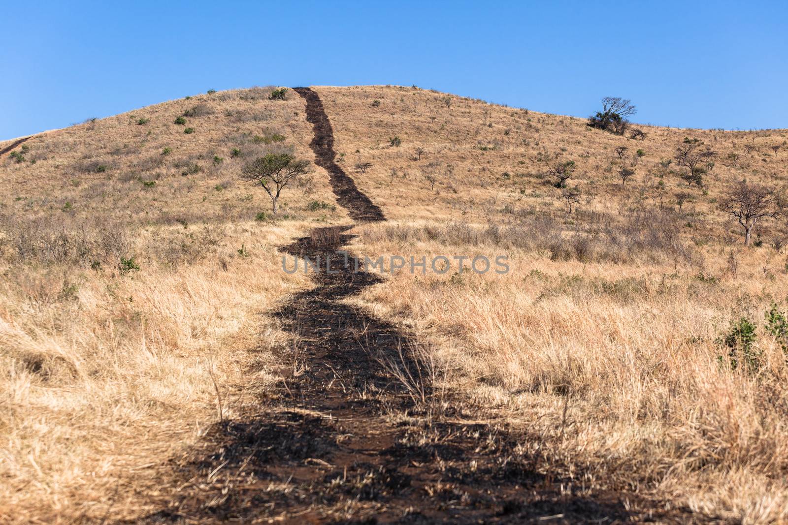 Fire break burn done over dry park reserve landscape to help with bush fires.