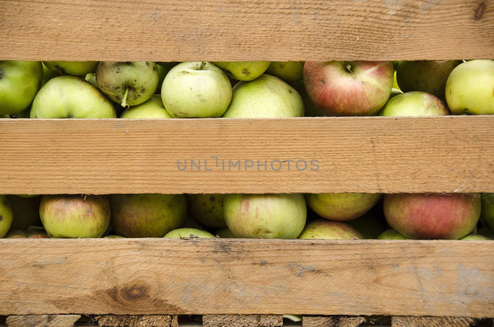 Apples in a wooden box by Arrxxx