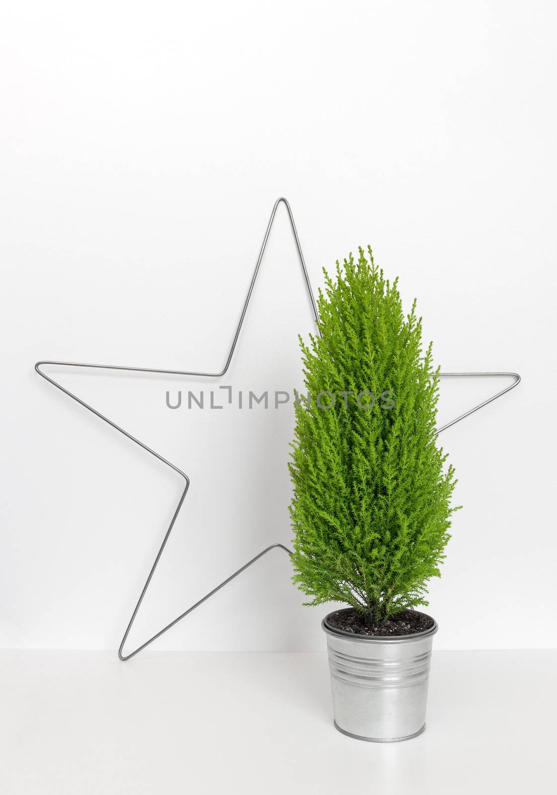 Christmas star and little green tree in a metal pot.
