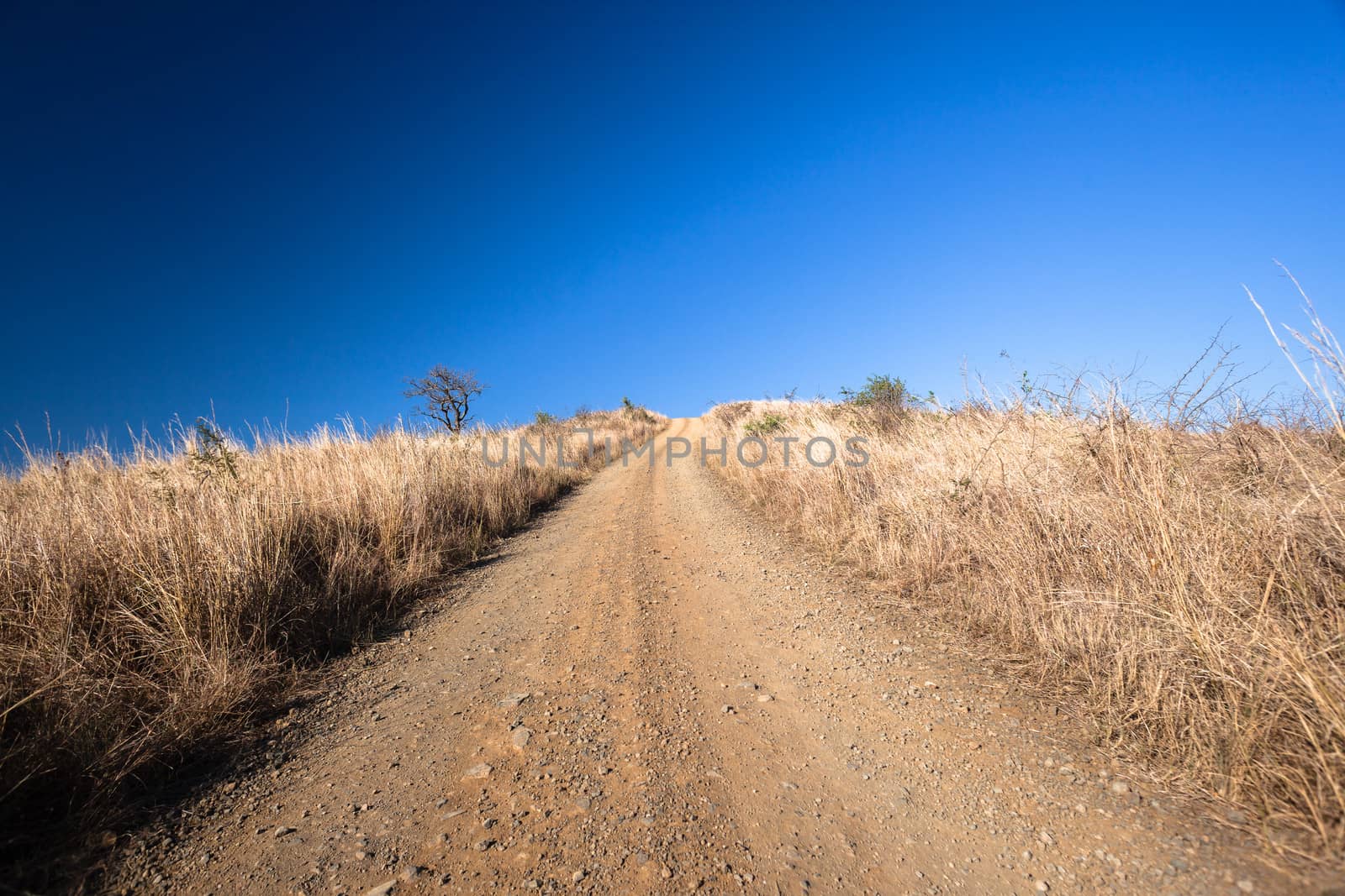 Dirt Road Hill Climb by ChrisVanLennepPhoto