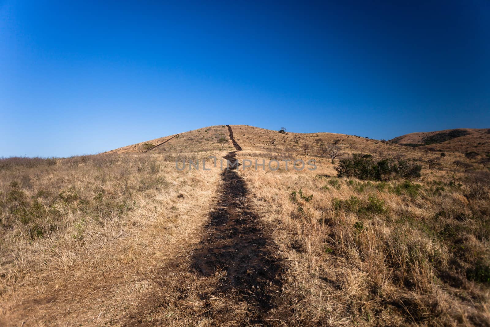 Fire Break Burn Dry Landscape by ChrisVanLennepPhoto