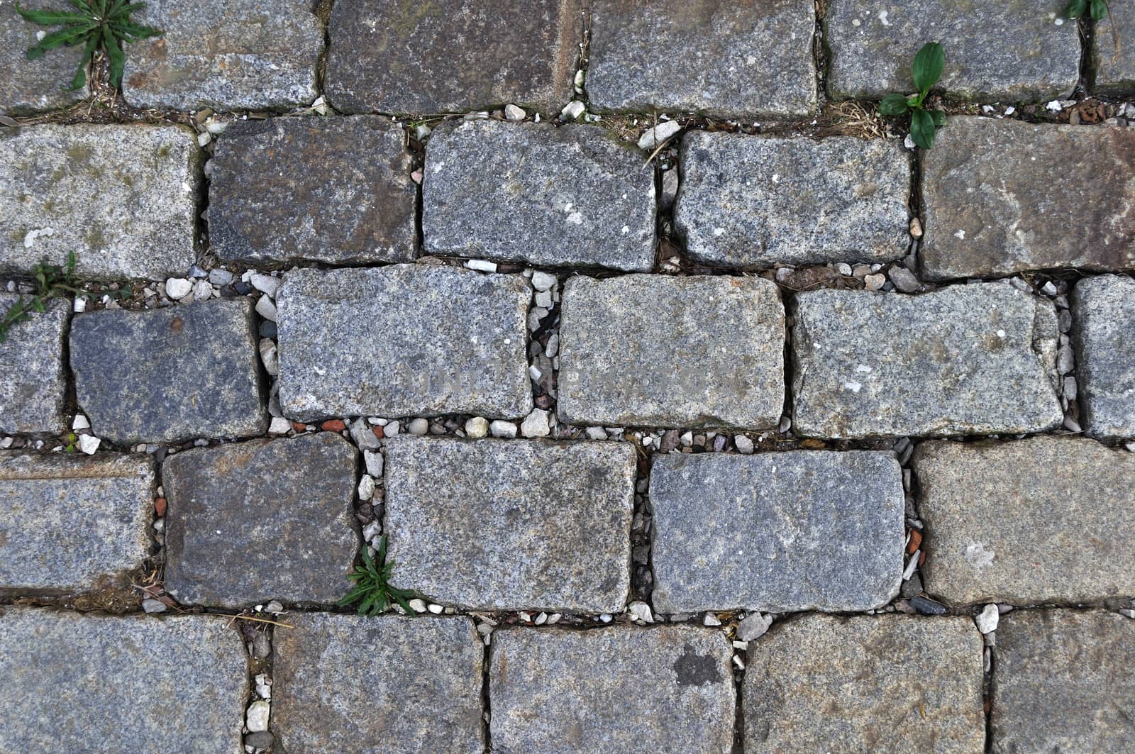 Fragment of old rough block pavement surface