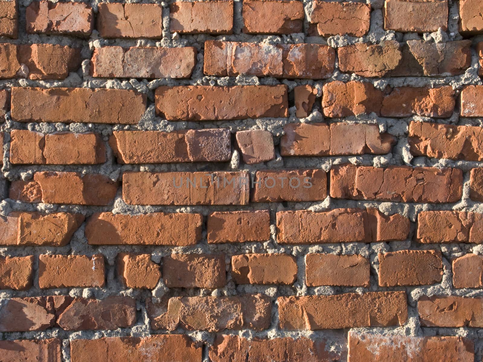 Red brick wall background by wander