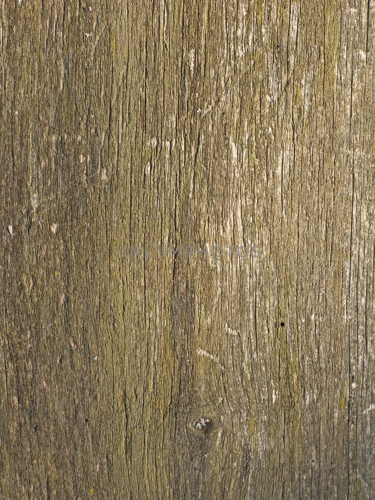 Old weathered natural wooden background by wander