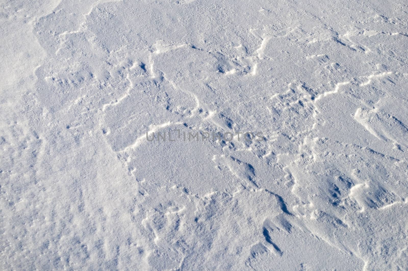 The texture of fresh snow surface