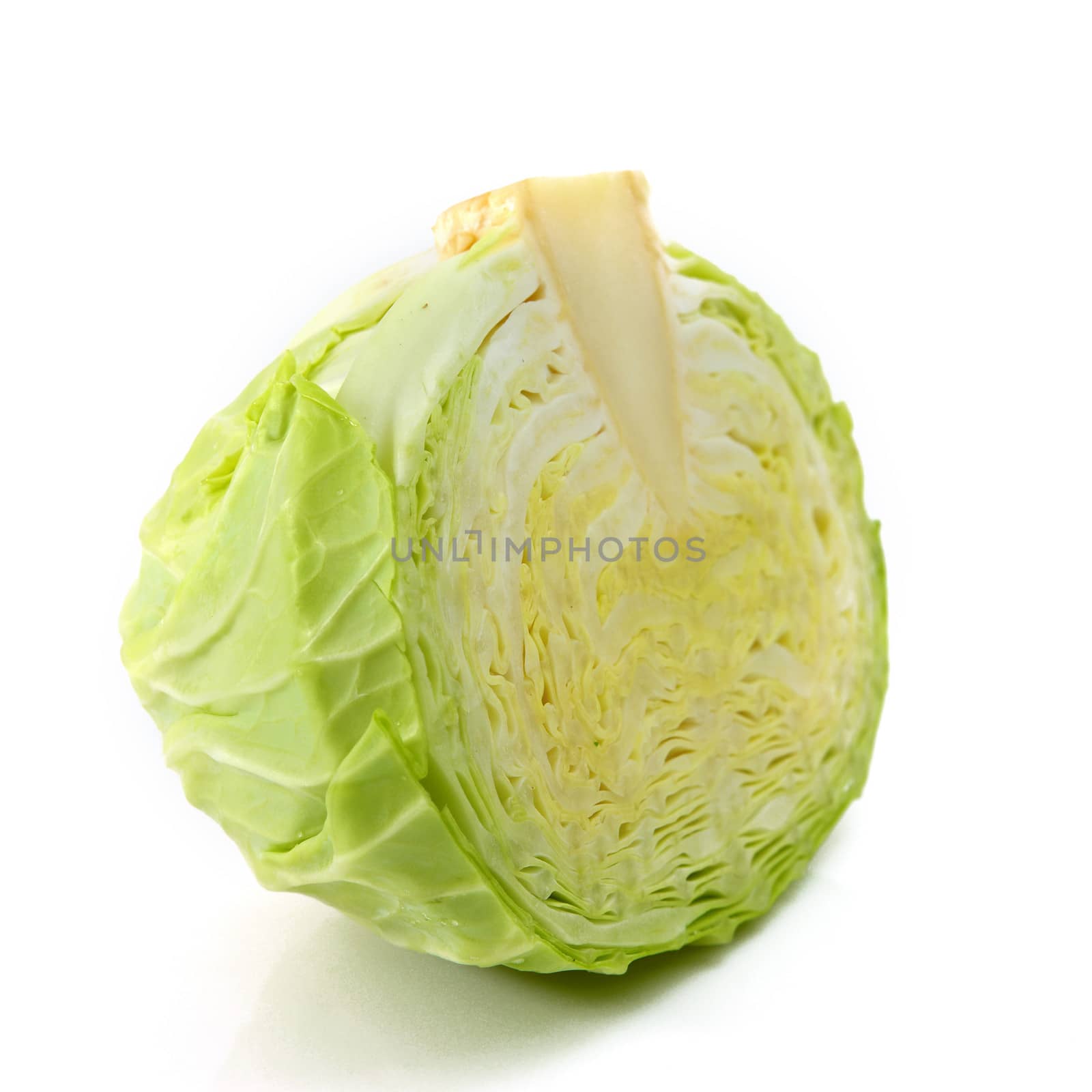 cabbage by antpkr