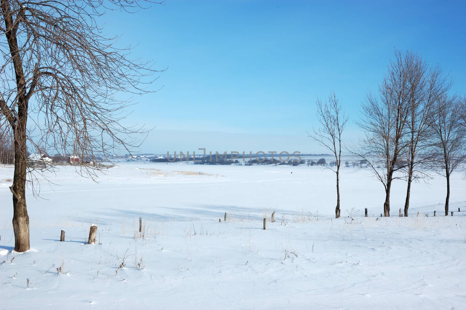 View of frozen river with trees on riverbank, Russia 