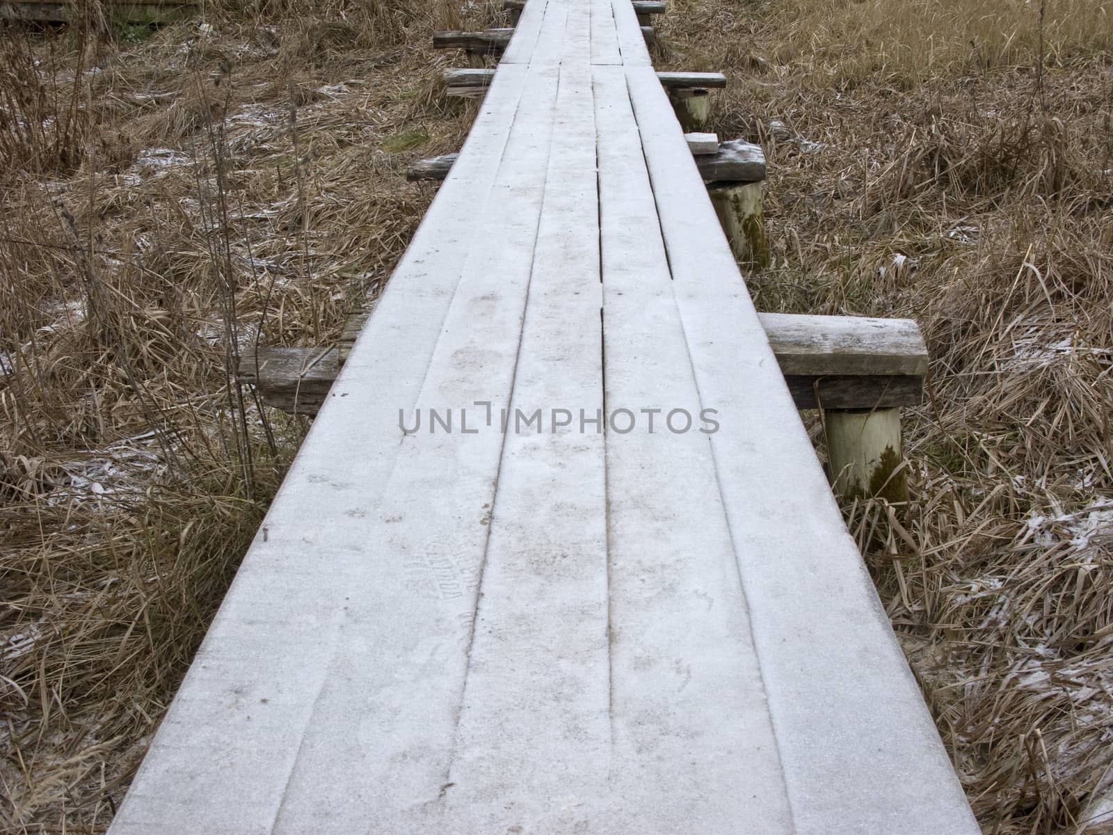 Wooden walkway with hoarfrost in ravine