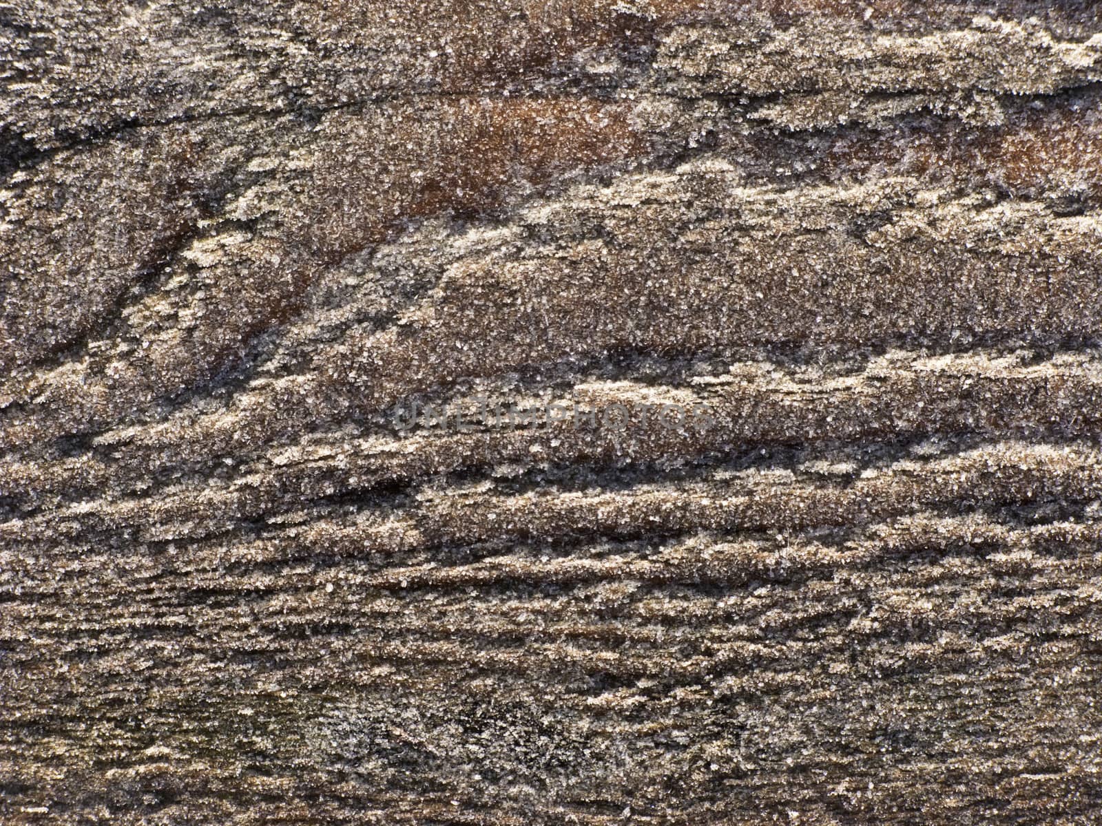 Texture of weathered wooden surface with hoarfrost