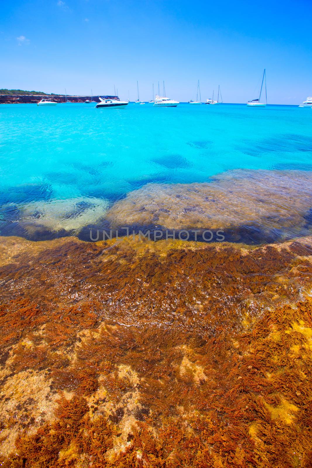 Formentera Cala Saona beach Balearic Islands by lunamarina