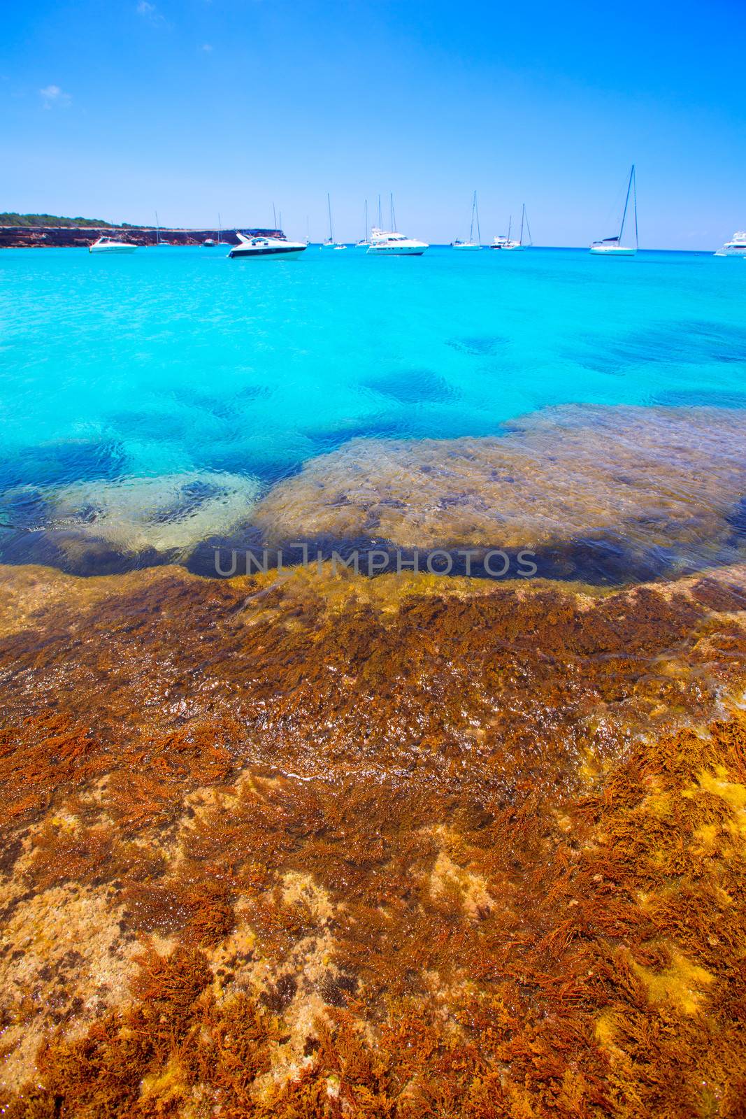 Formentera Cala Saona beach one of the best beaches in world near Ibiza