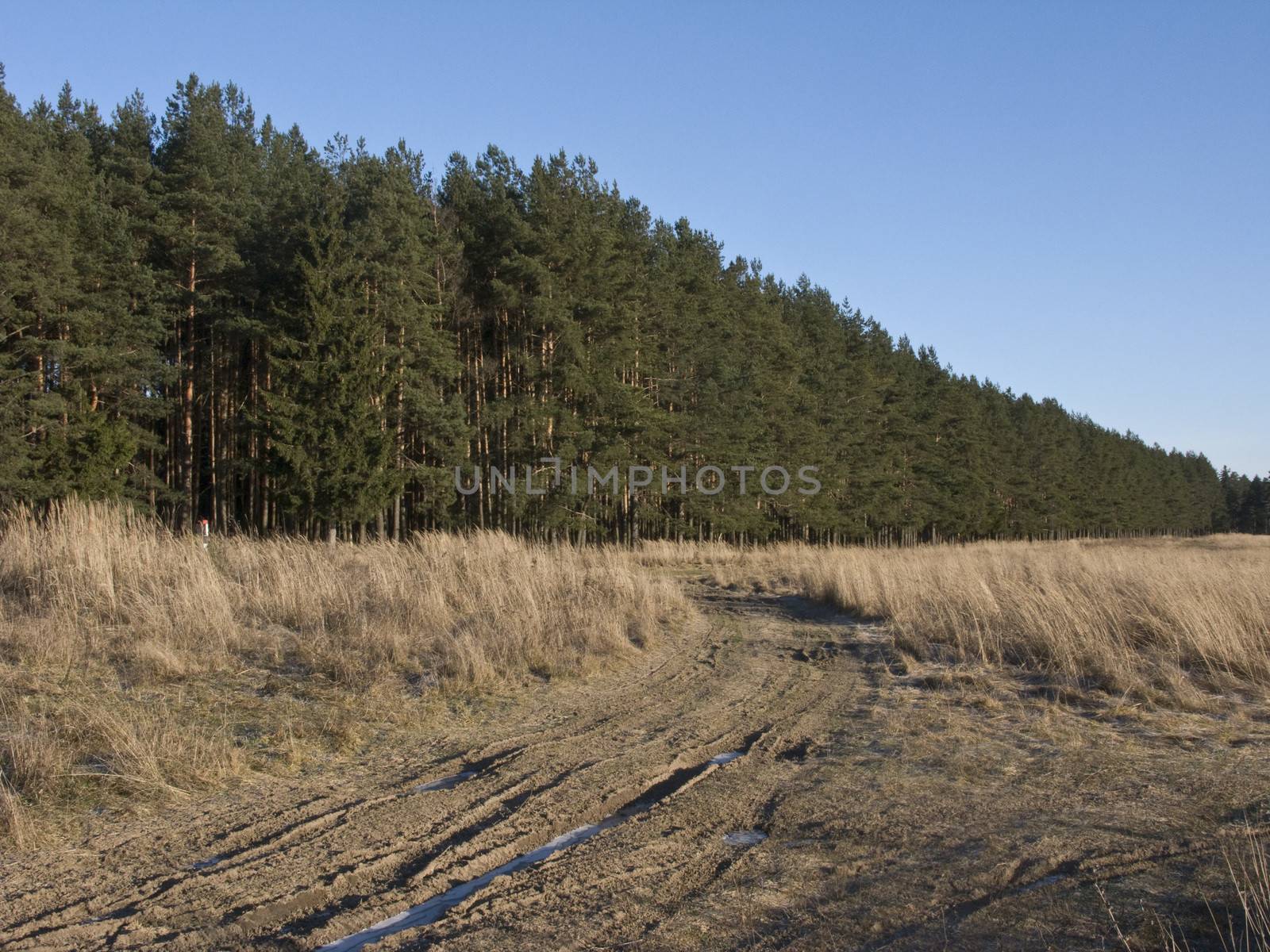 Earth road at winter forest edge by wander