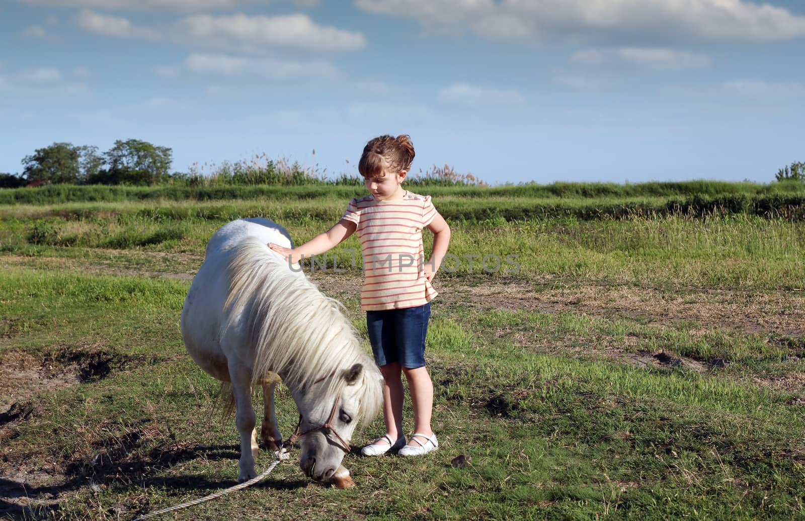 white pony horse and little girl  by goce