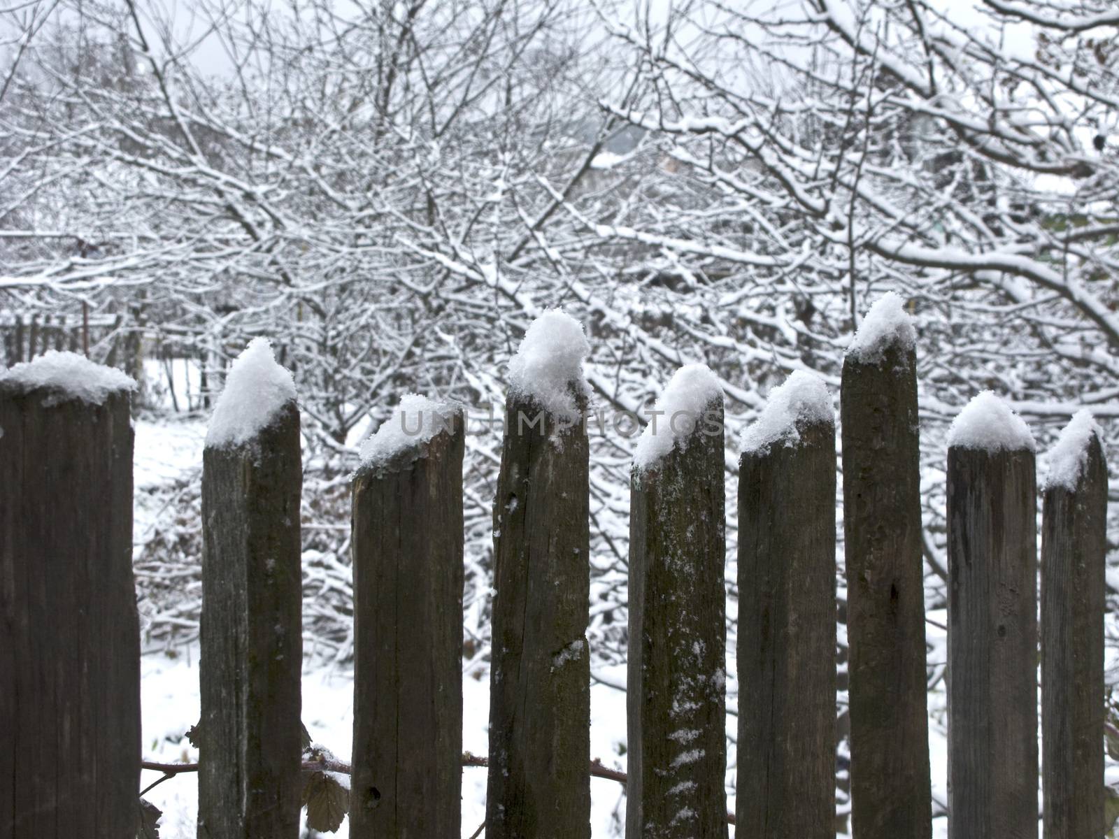 Old wooden fence under snow by wander