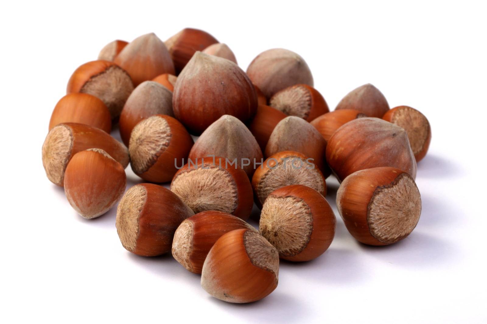 hazelnuts, photo taken in studio