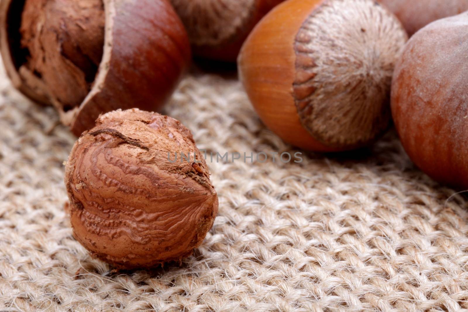 hazelnuts, photo taken in studio