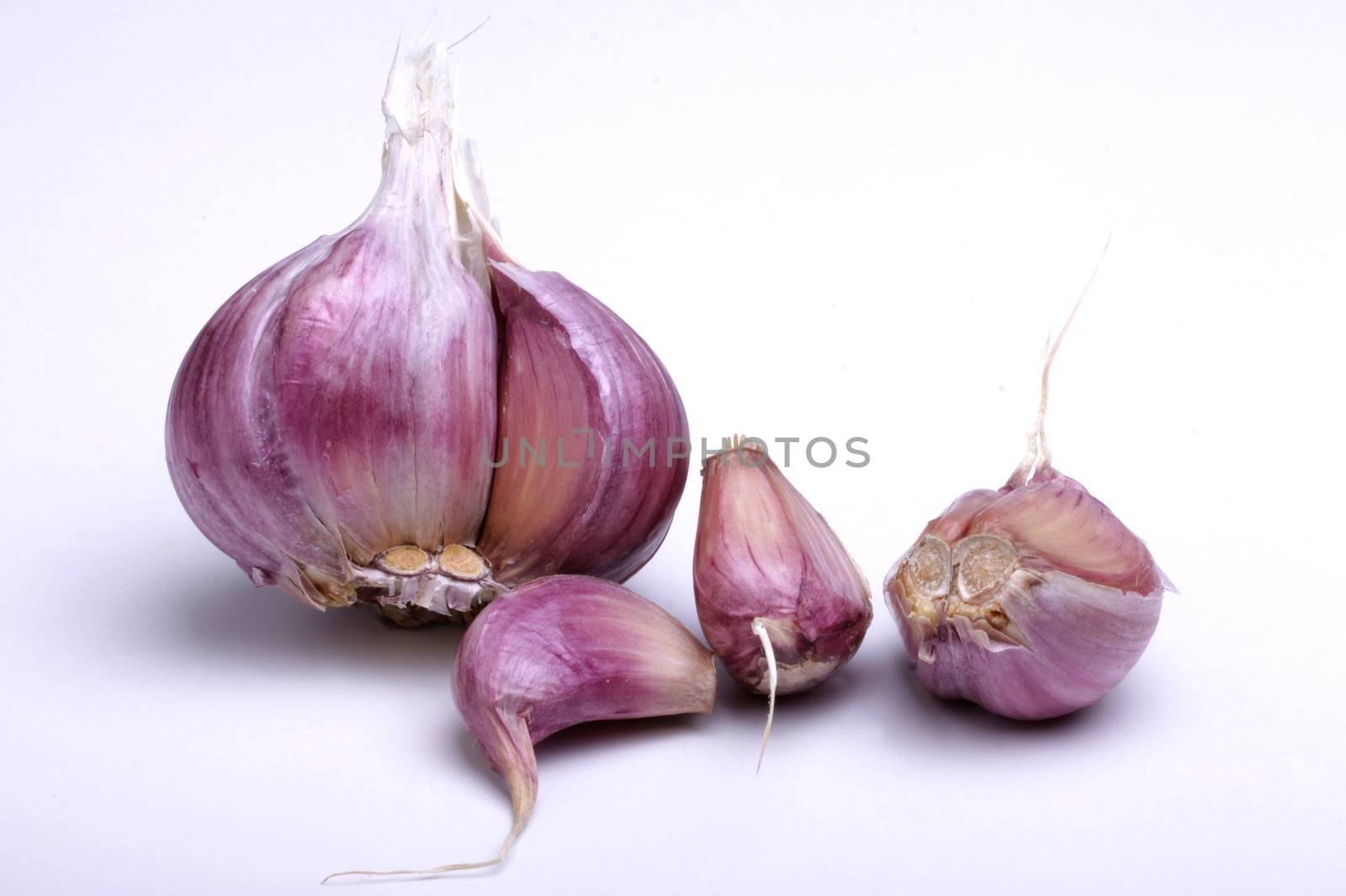 pink garlic, photo taken in studio