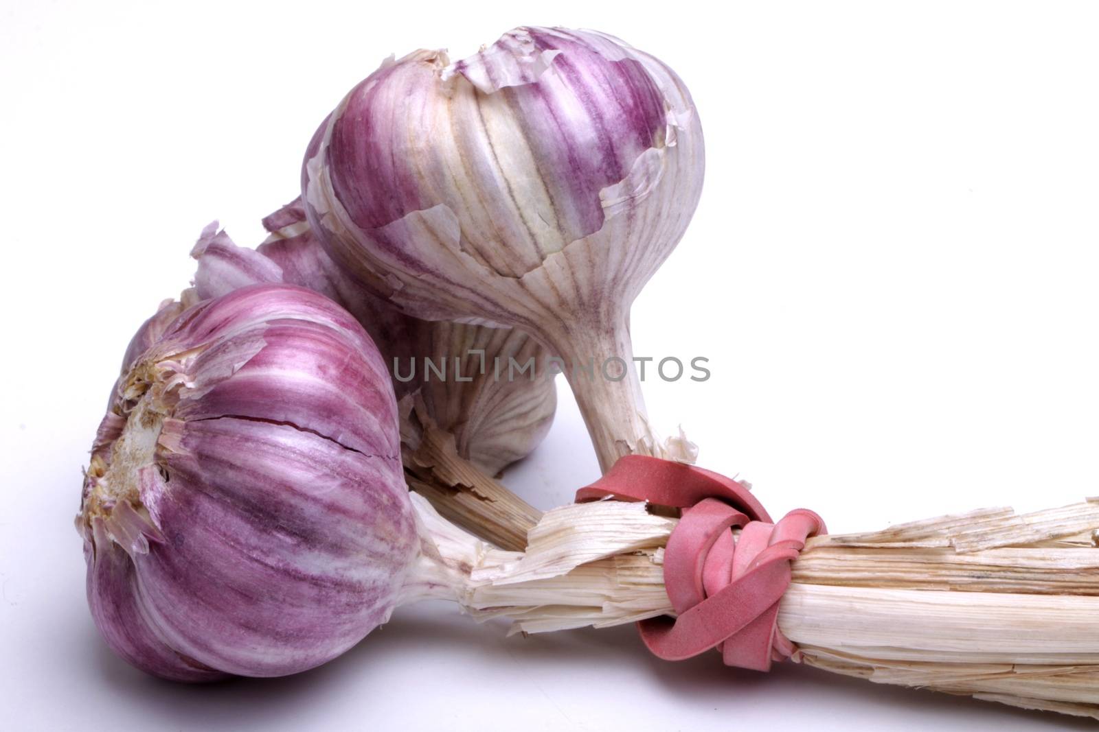 pink garlic, photo taken in studio