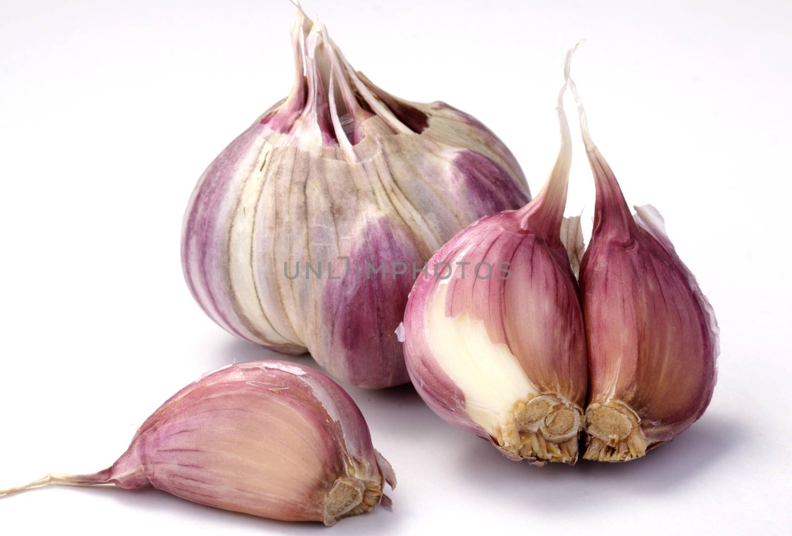 pink garlic, photo taken in studio
