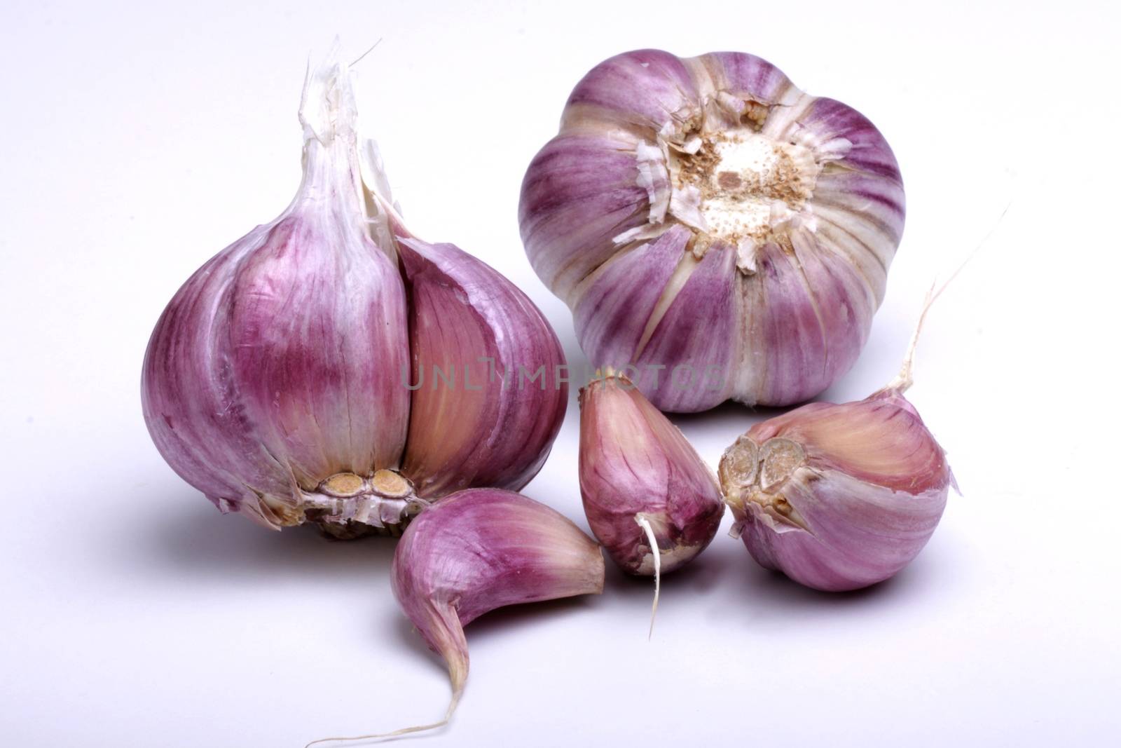 pink garlic, photo taken in studio