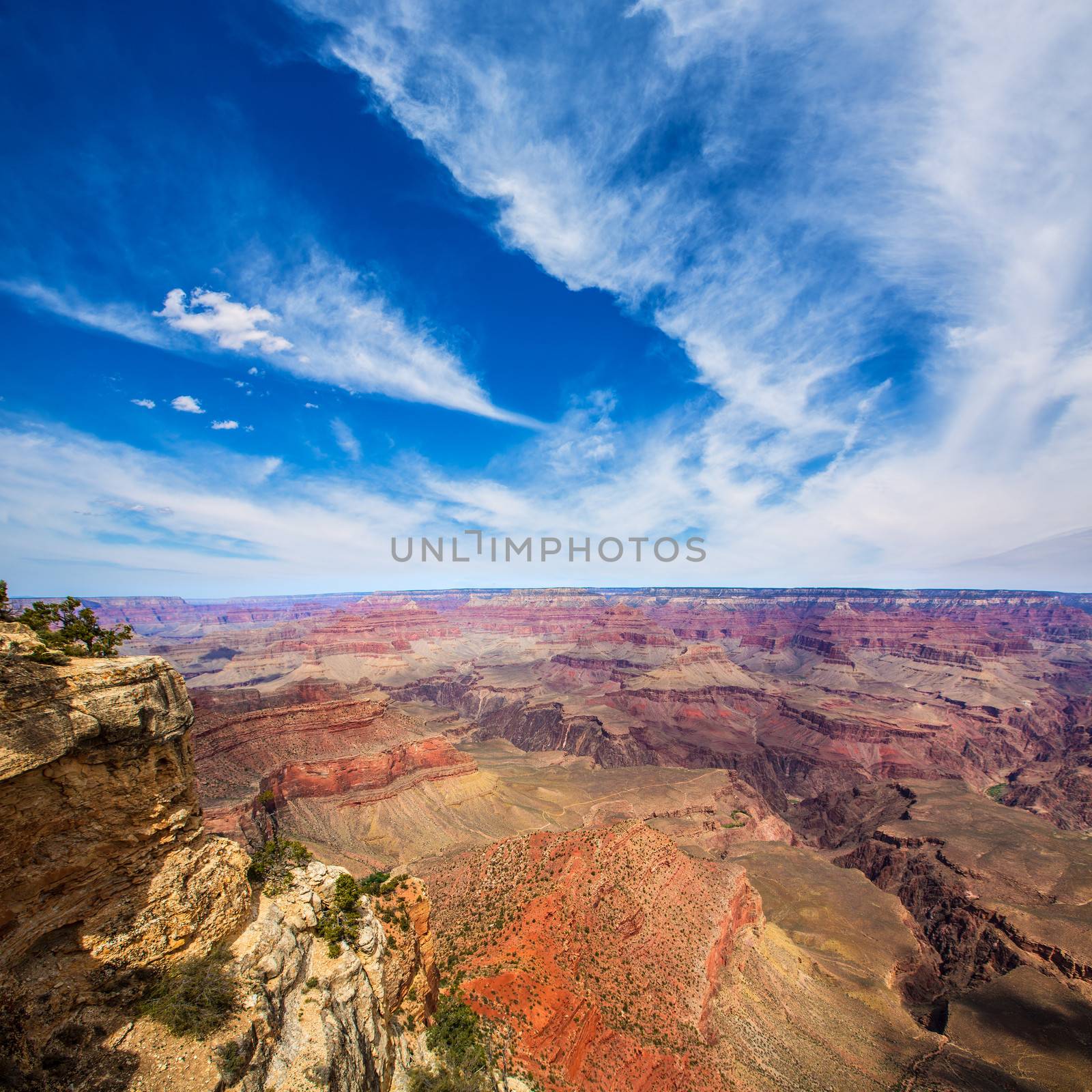 Arizona Grand Canyon National Park Yavapai Point USA