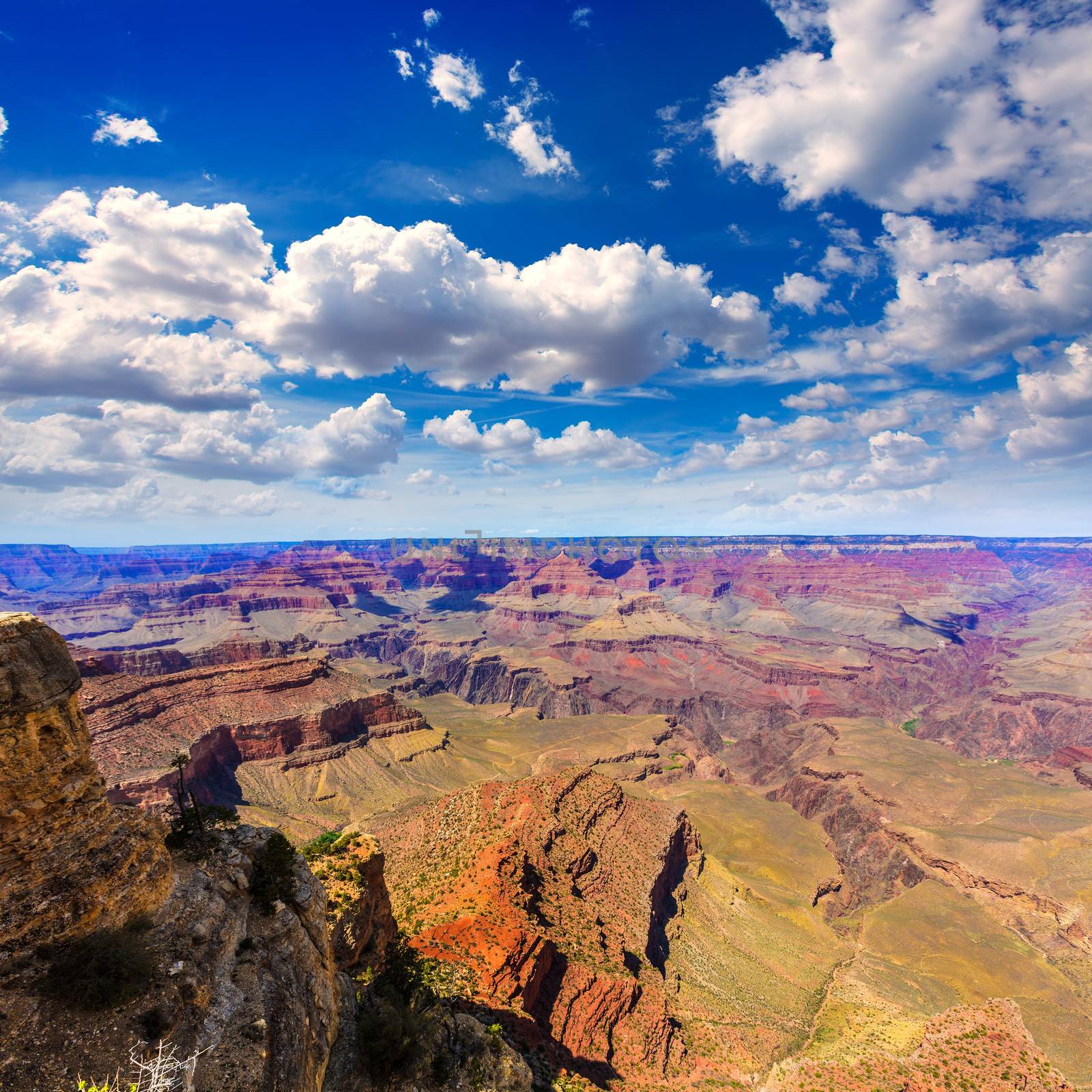 Arizona Grand Canyon National Park Yavapai Point USA