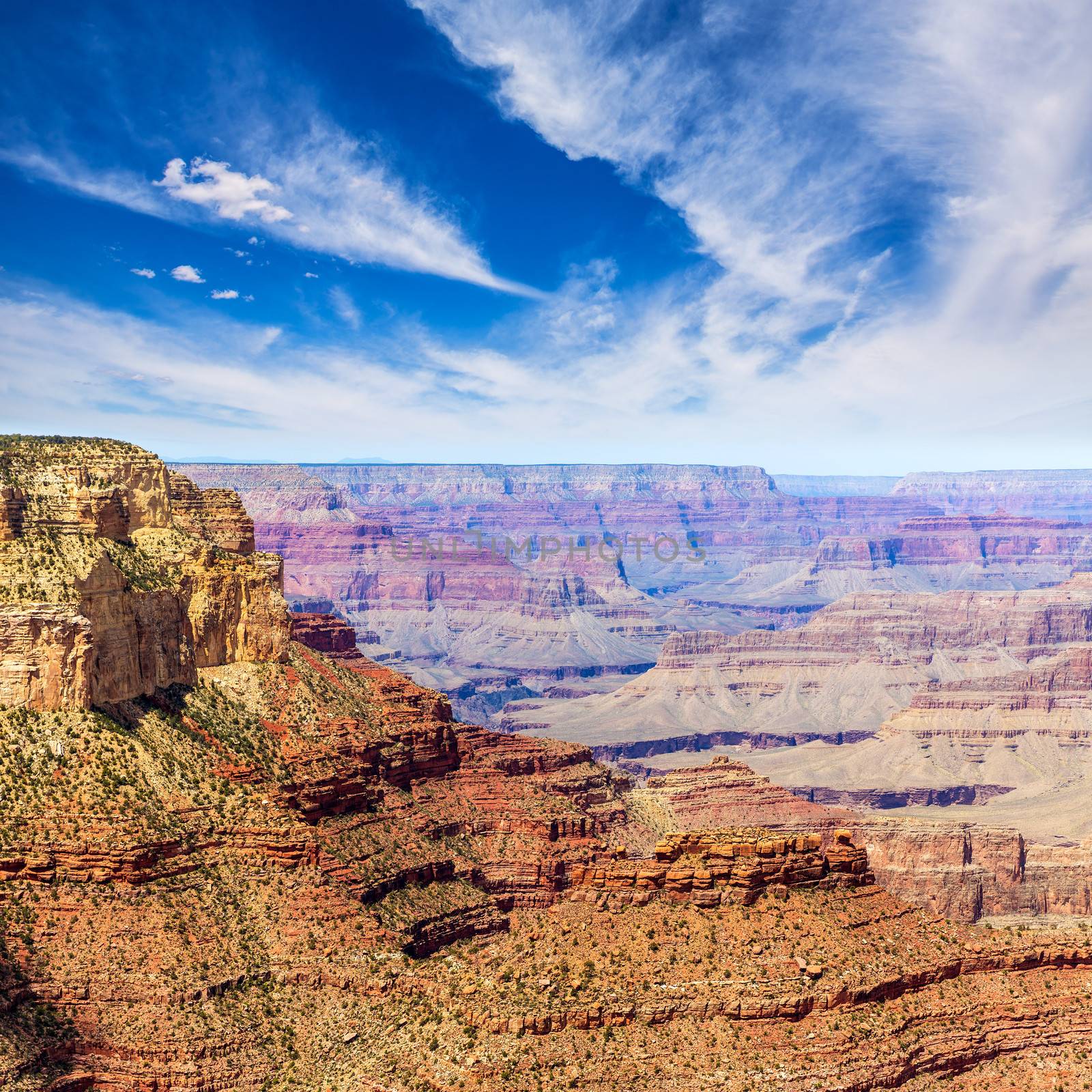 Arizona Grand Canyon National Park Yavapai Point USA