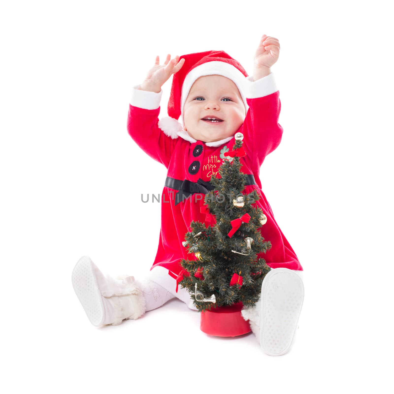 Santa girl and fir tree isolated on white