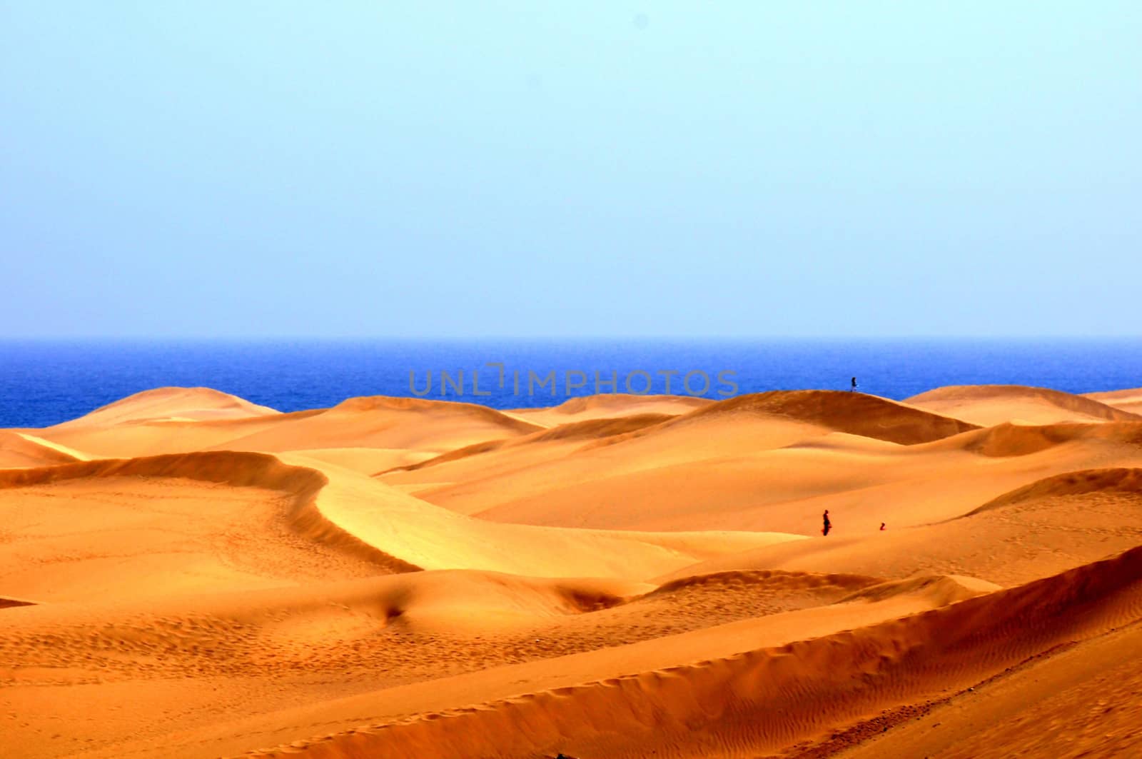 Sand Desert by underworld