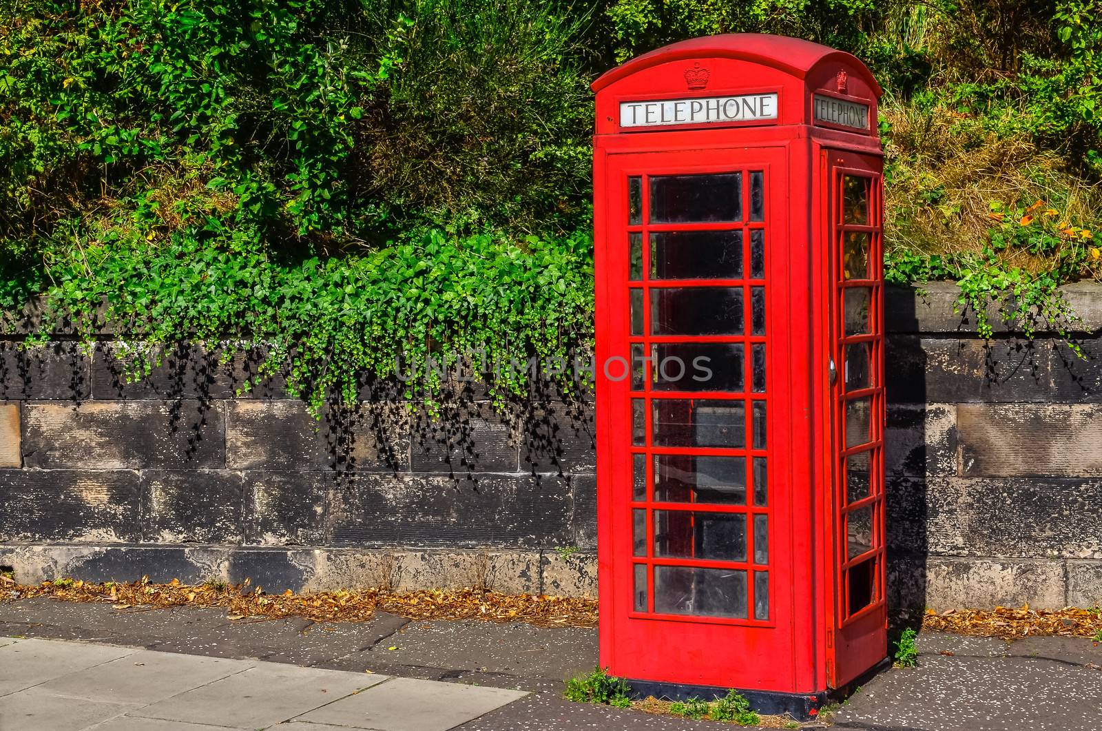 Typical British telephone booth in the park