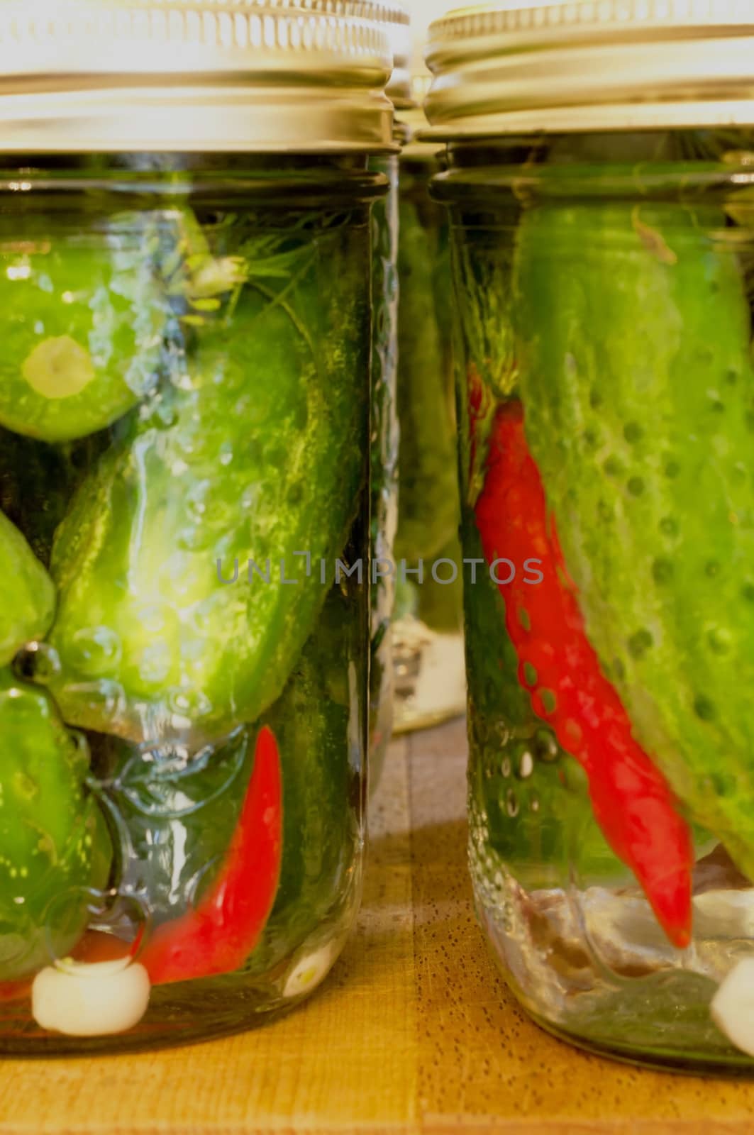 Dill Pickles with a Kick by edcorey
