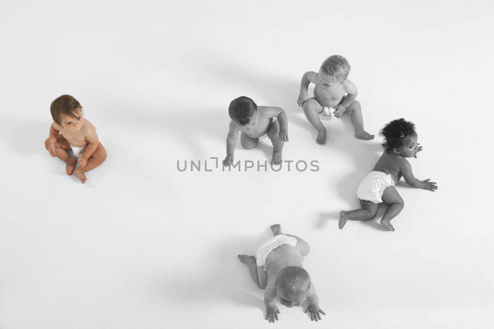 High angle view of baby girl looking at other babies crawling on floor by moodboard
