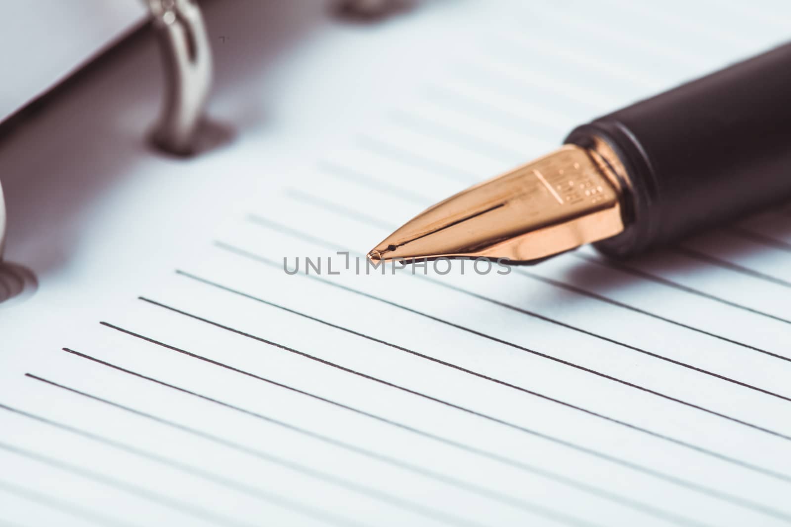 Metal feather pen on the ruled paper in the notebook