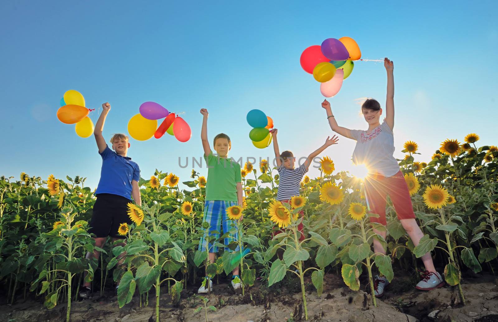 happy children with colorful balloons jumping  in a field of sunflowers 