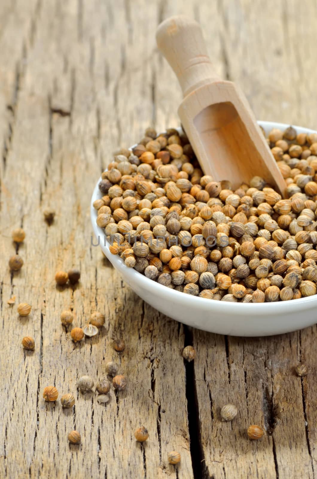 Coriander seeds in small ceramic pot, closeup on wooden table