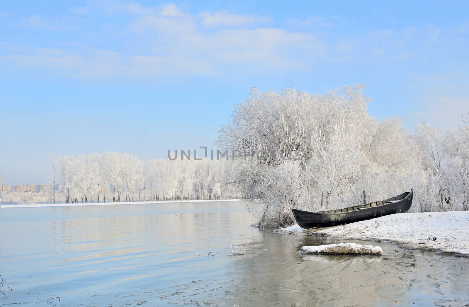 Frosty winter trees near Danube river shoot in the daytime