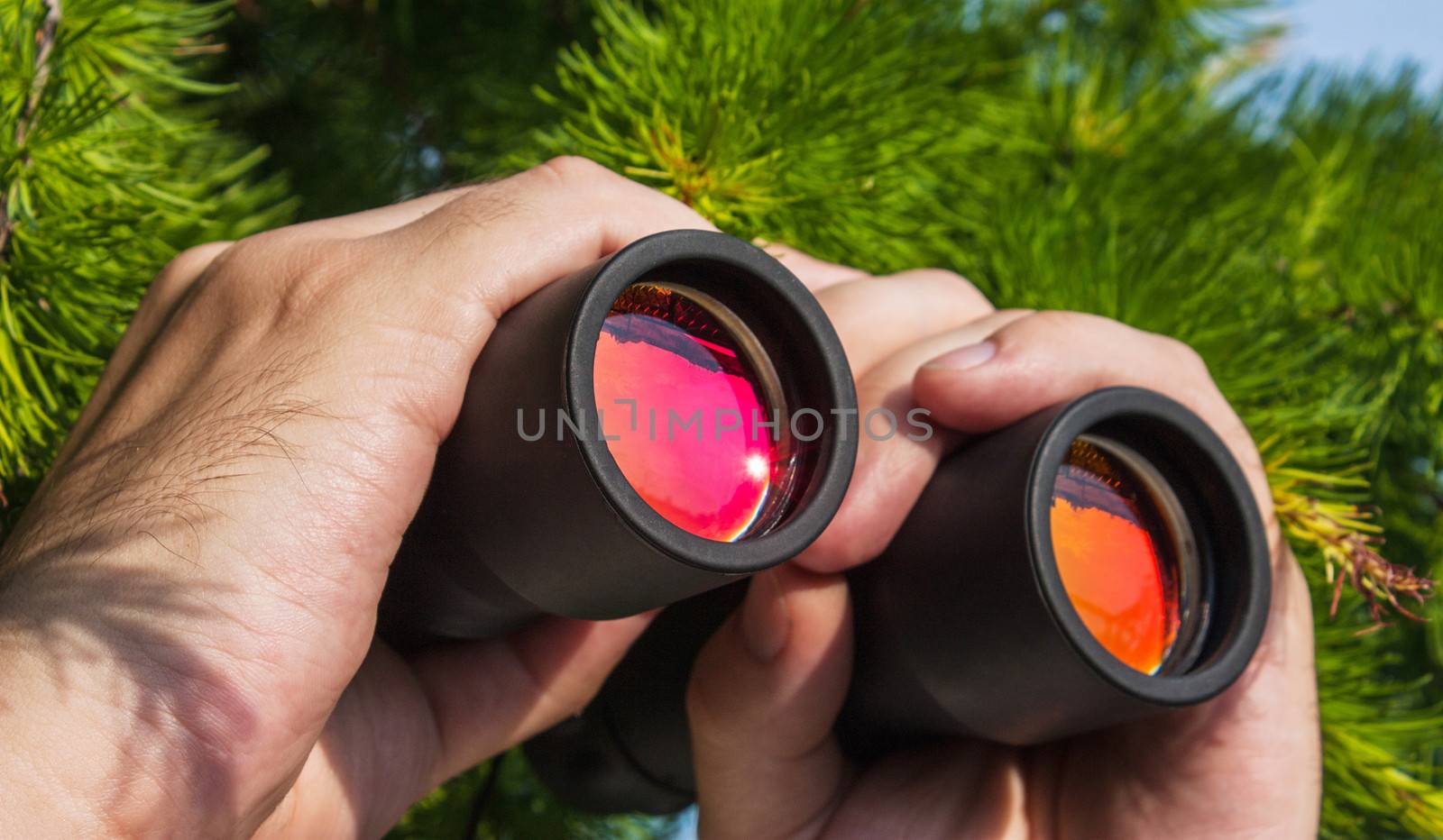 watching from the bushes with binoculars