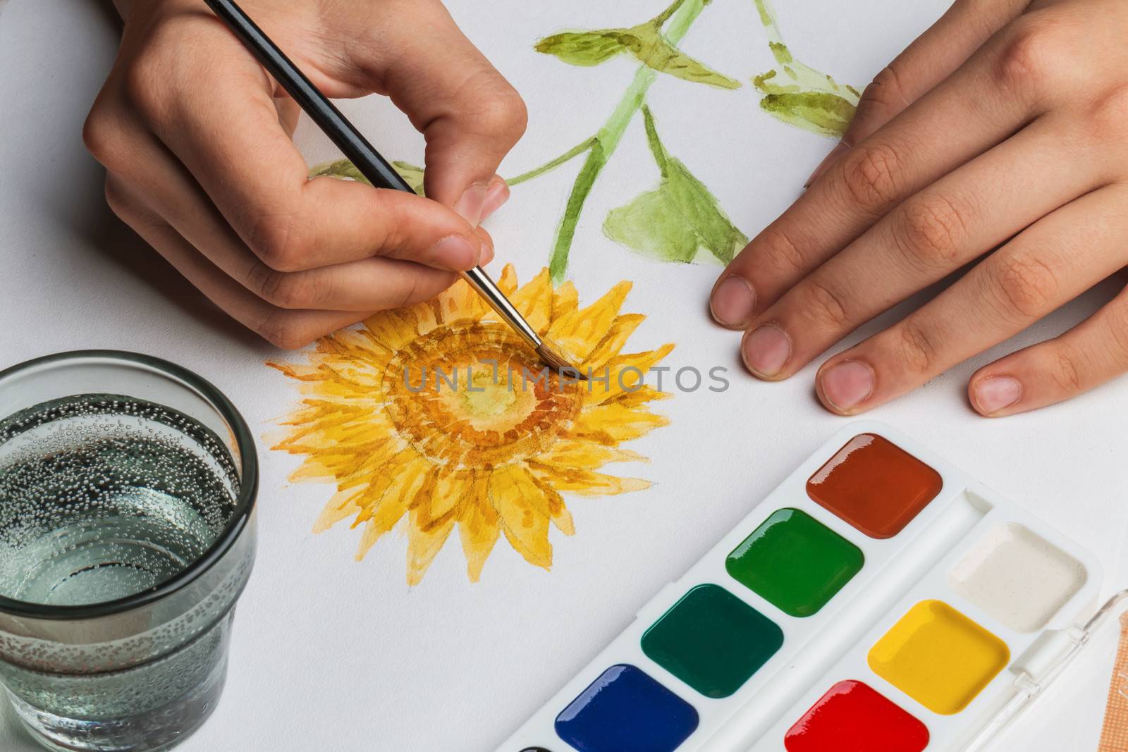 The artist paints a flower of watercolor on white paper