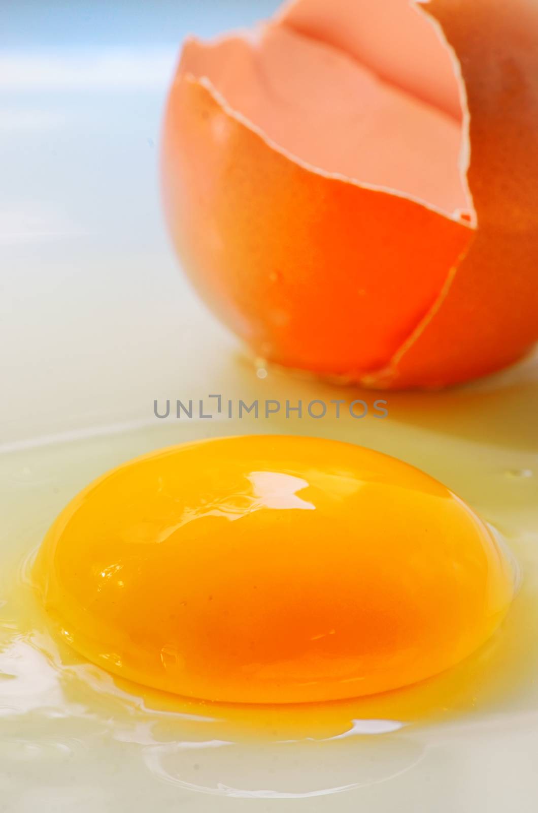 Broken egg isolated on white background