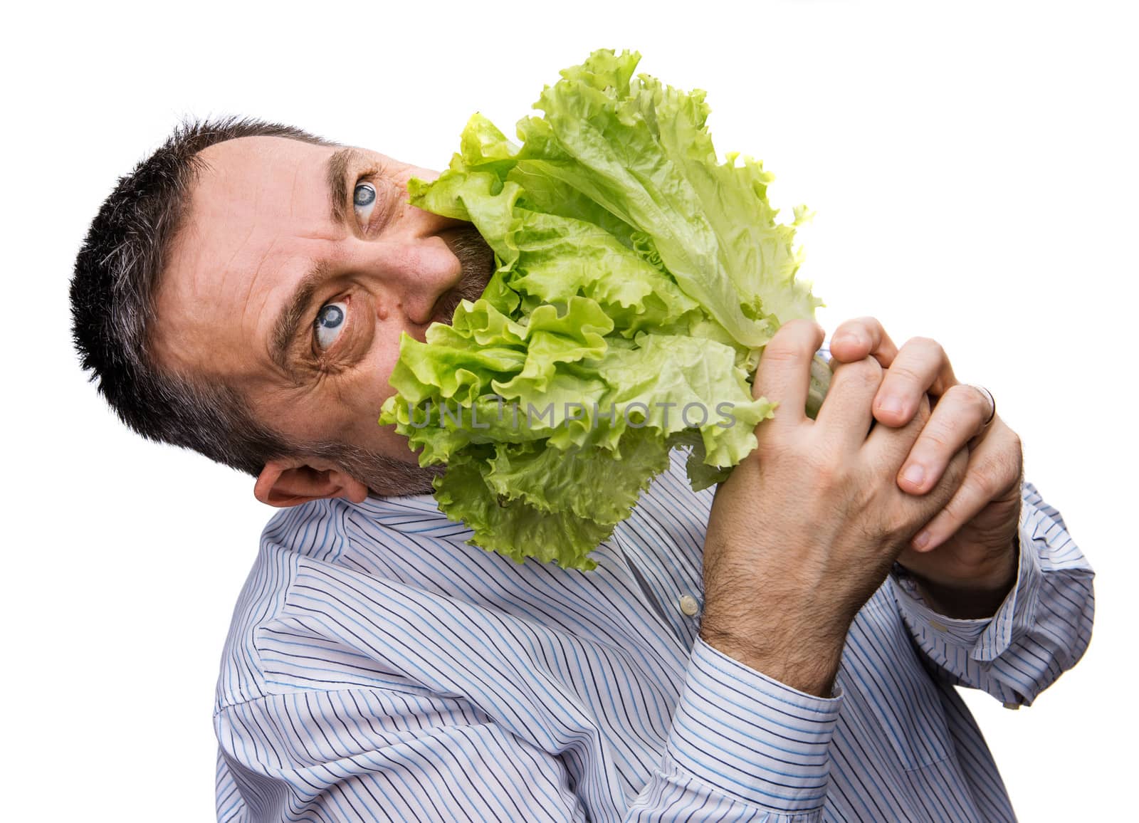 Organic food. Man holding lettuce isolated on white