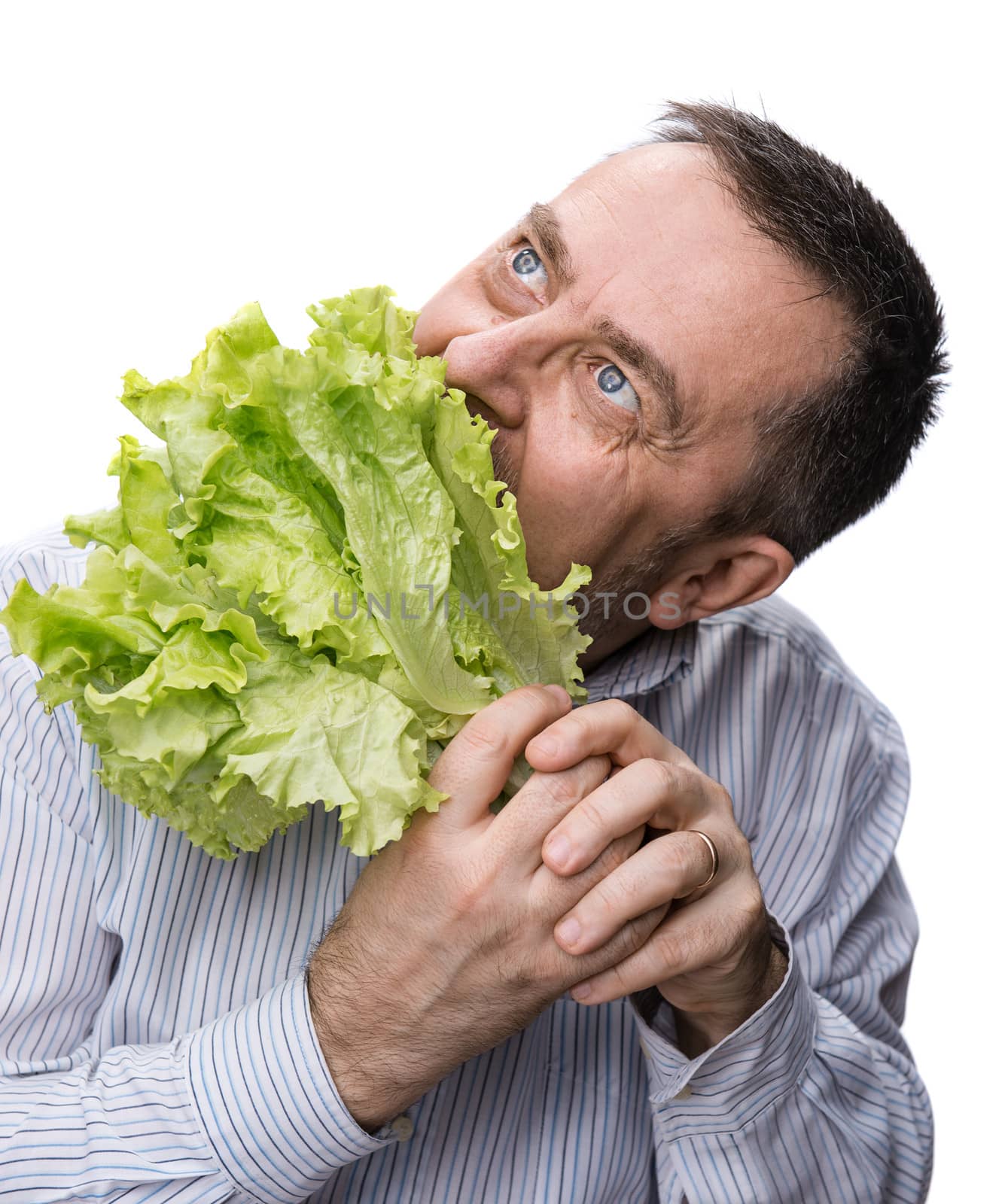Organic food. Man holding lettuce isolated on white