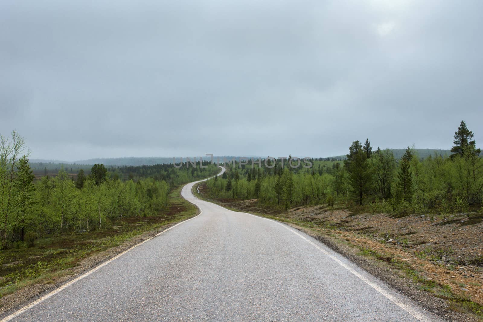 Long winding road through the forests in Lapland during summer. by Claudine