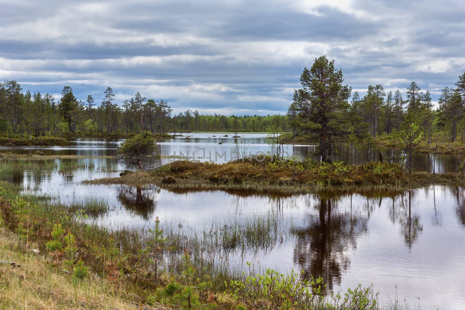 Flooded landscape under heavy skies in northern Lapland during summer. by Claudine