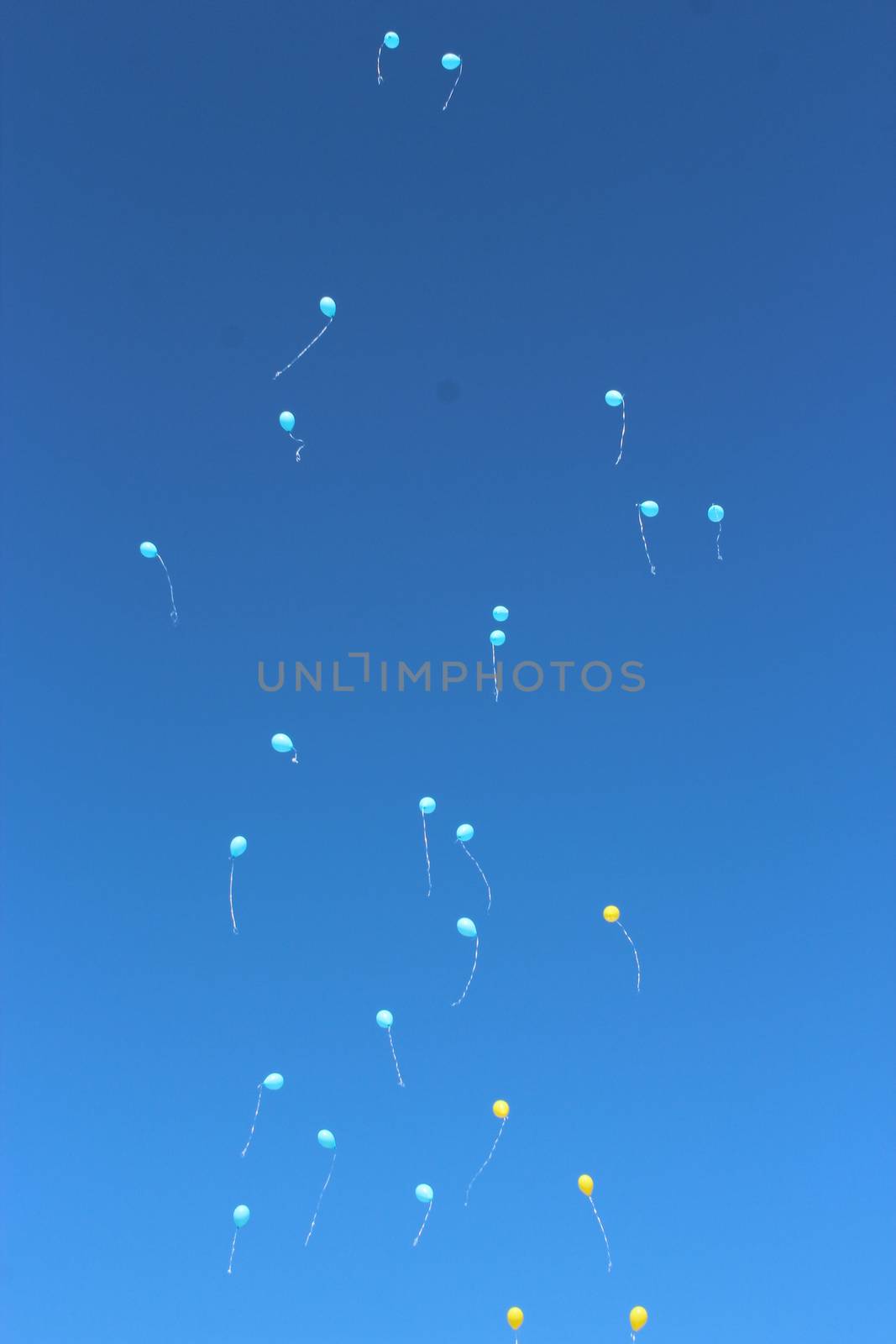 Color balloons flying away to the sky by alexmak