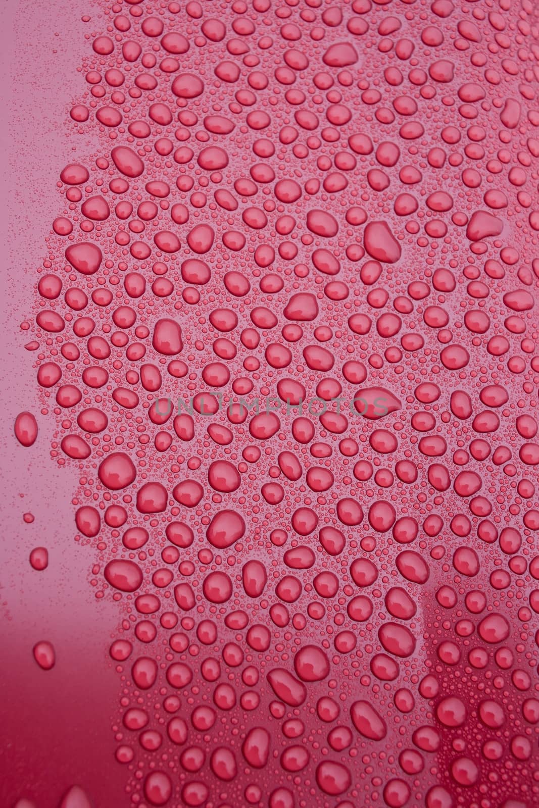 Abstraction in the form of water droplets of various sizes on a red background
