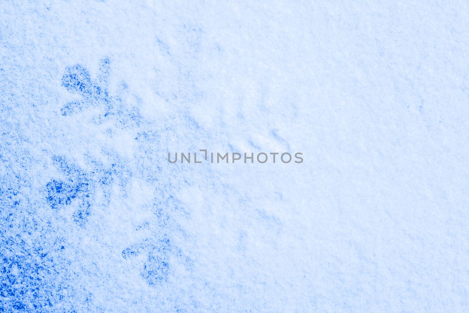 Snowflake on the snow. White xmas holiday background.