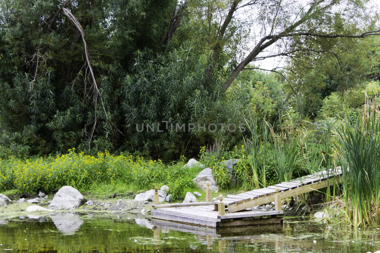 Dock at a quiet pond