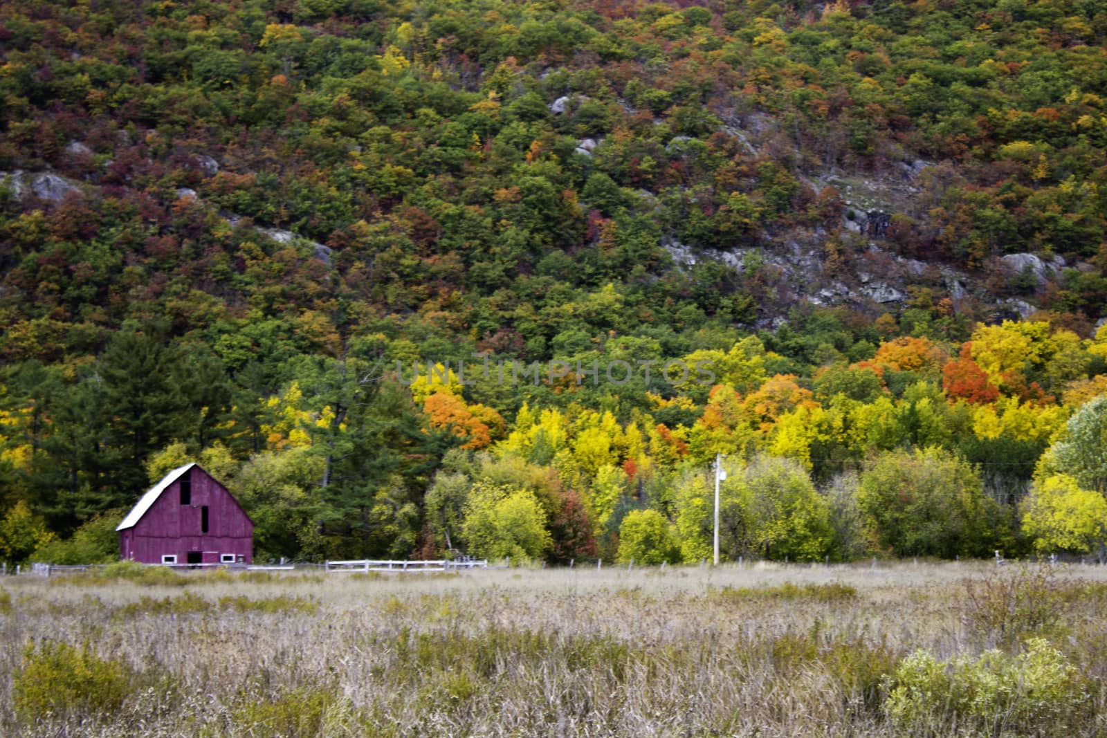 Old barn in the field