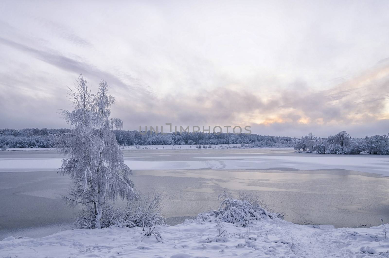 Winter evening landscape with a lake and trees in the frost