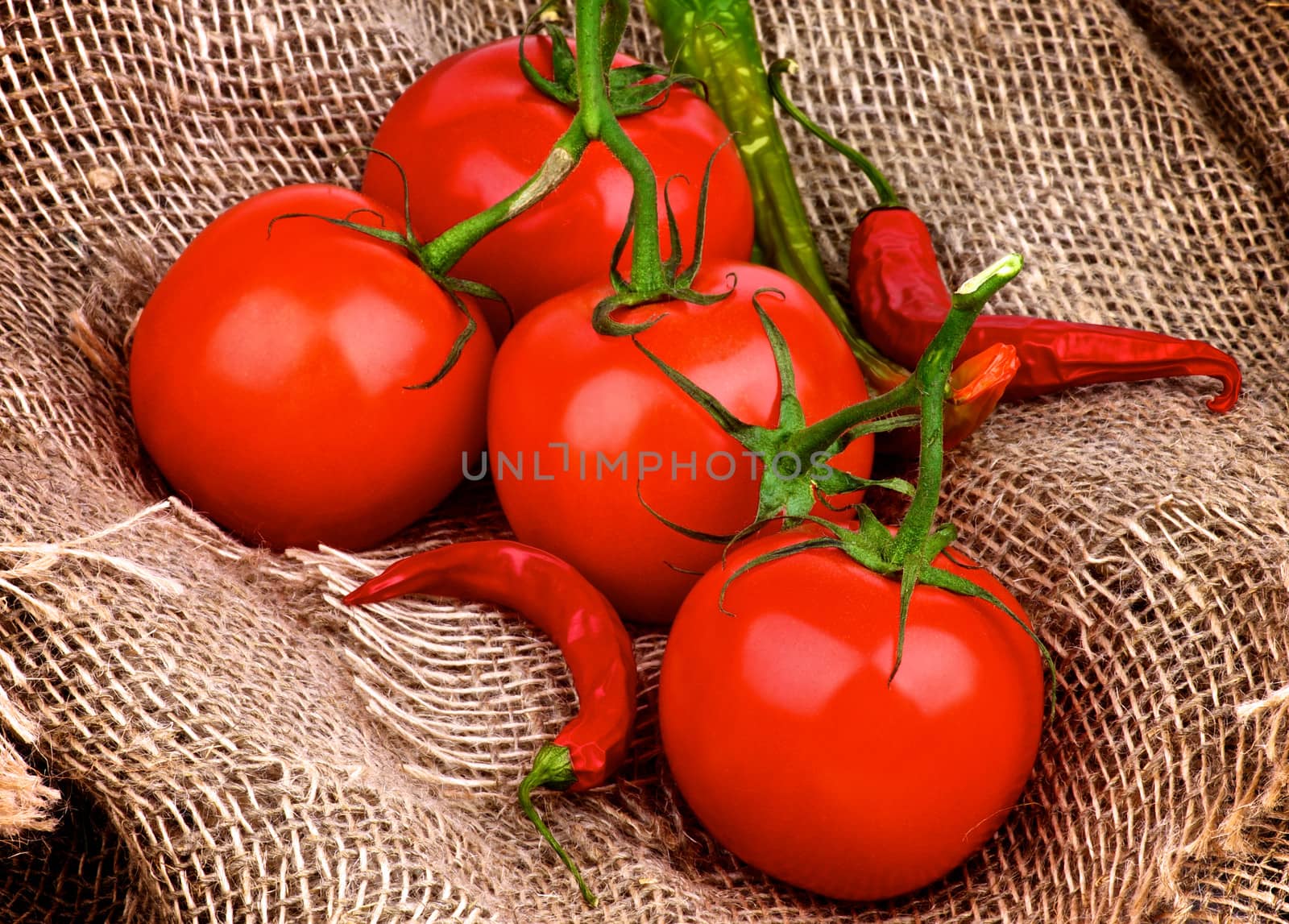 Fresh Ripe Tomatoes with Stems and Chili Peppers closeup on Burlap background